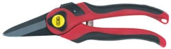 C.K Maxima Pruning Snips G5634